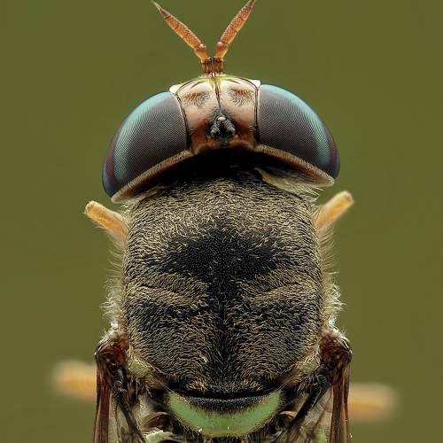Photo #9210022