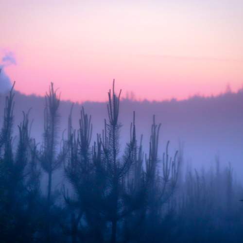 Photo #9210172