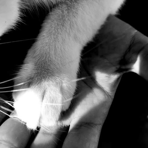 Photo #9210472