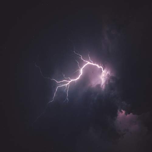 Photo #9210592