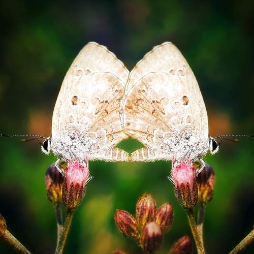 Photo #9210789