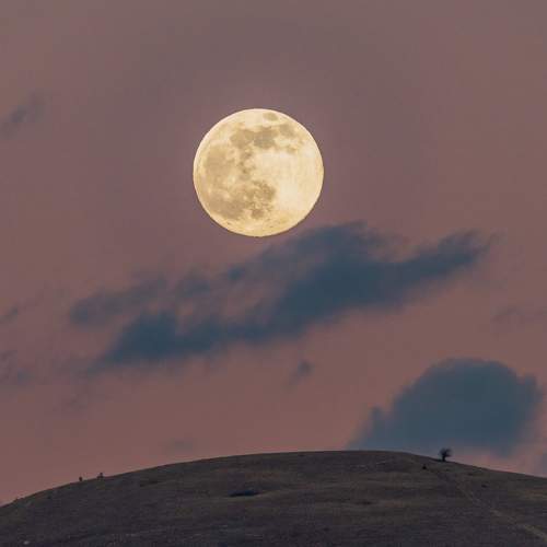 Photo #9210896