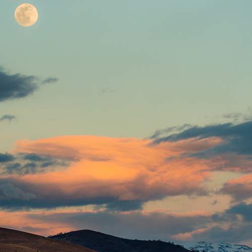 Photo #9210897