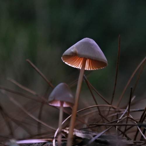 Photo #9211100