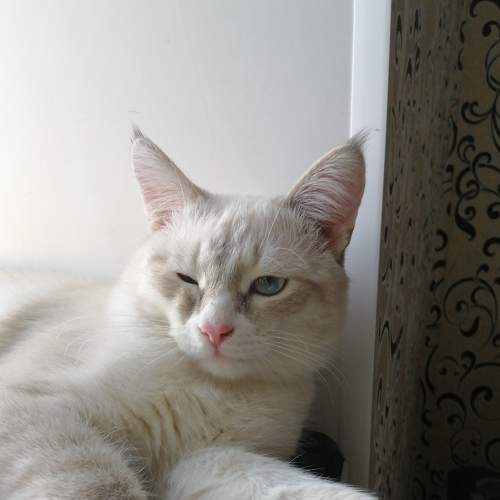 Photo #9211169