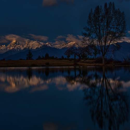Photo #9211505