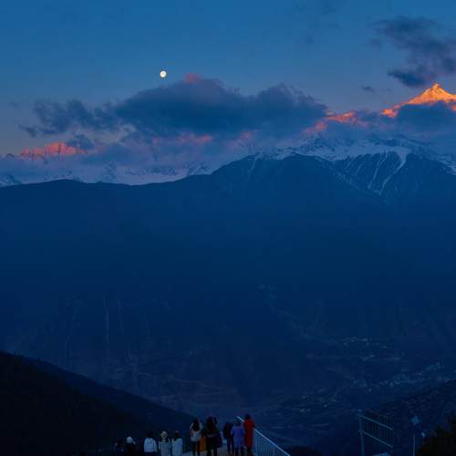 Photo #9211511