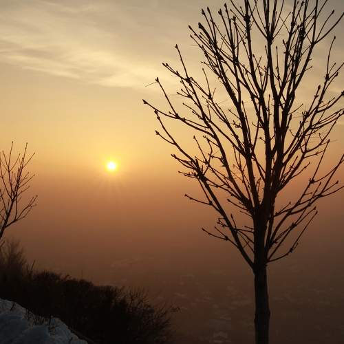Photo #9212138