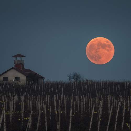 Guard Moon