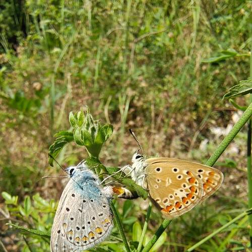 Photo #9212369
