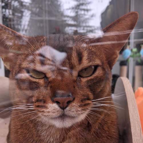 Photo #9212594