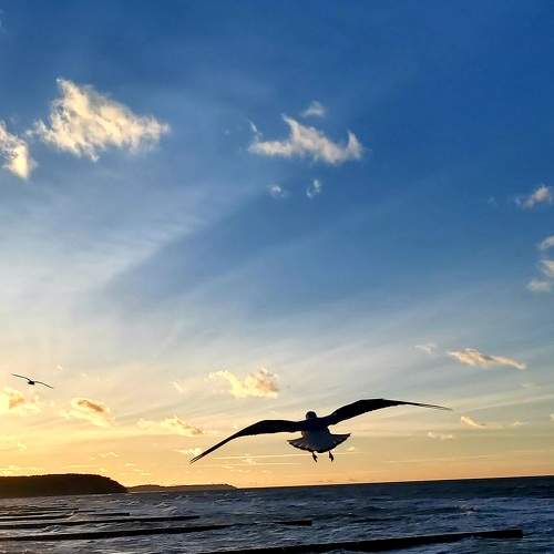 Photo #9213003