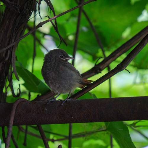 Photo #9213391