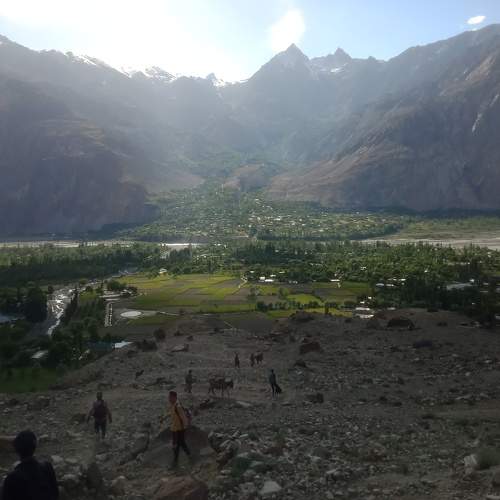 Photo #9213480