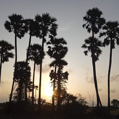 Photo #9213835