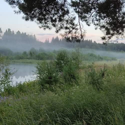 Photo #9213985