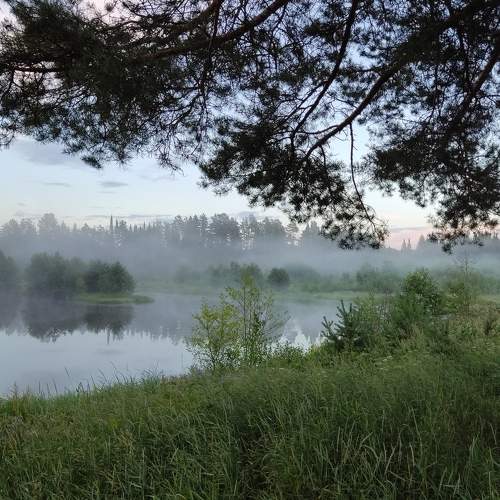 Photo #9214003