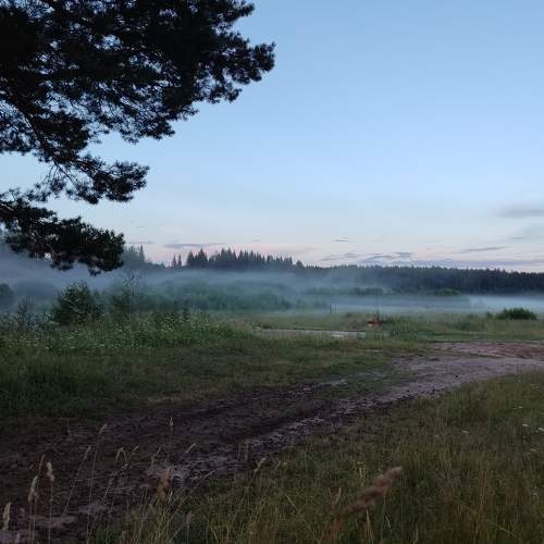 Photo #9214004