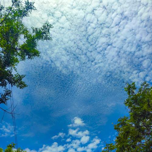 Photo #9214046
