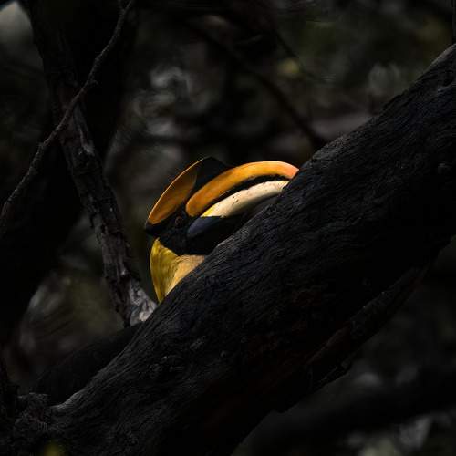 Photo #9214090