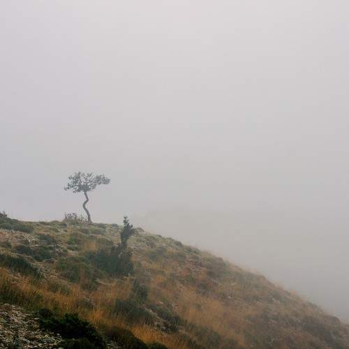 Photo #9214122