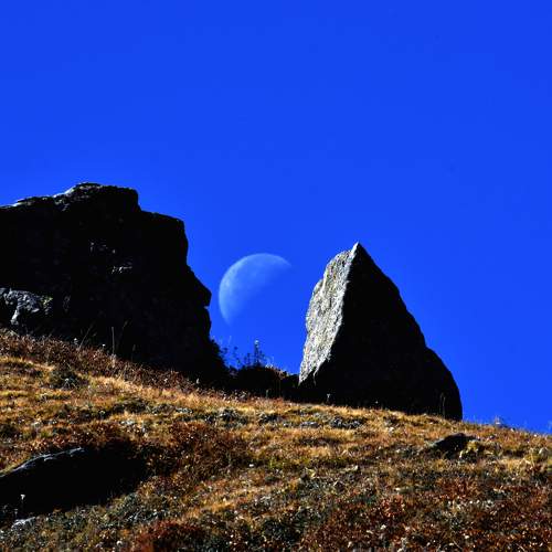 Photo #9214287