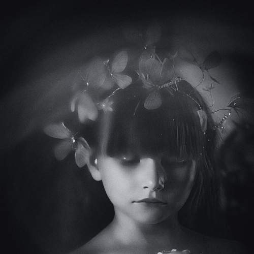 Photo #9214496