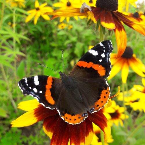 Photo #9214657