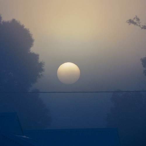 Photo #9214802