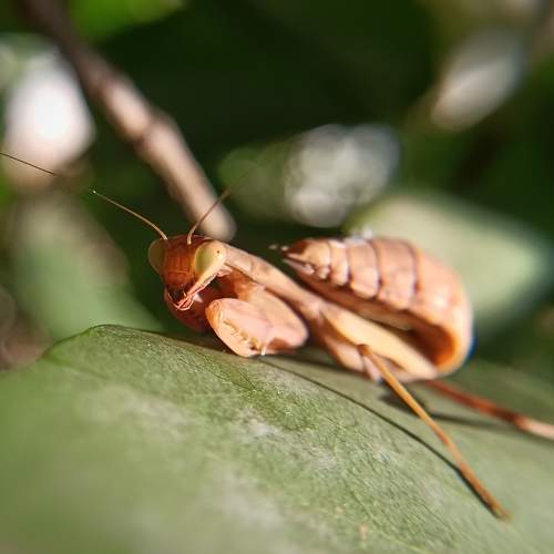 Photo #9214958