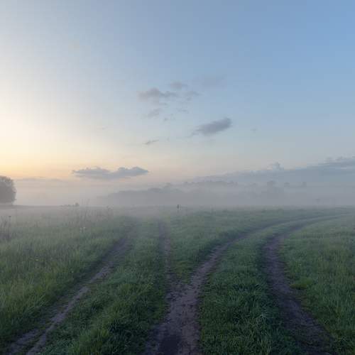 Photo #9215100