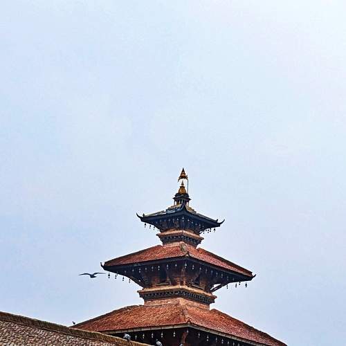Photo #9215285