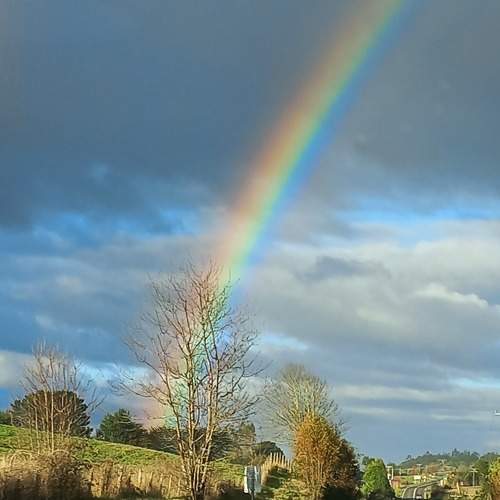 Photo #9215330