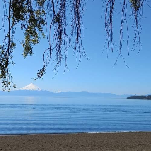 Photo #9215385