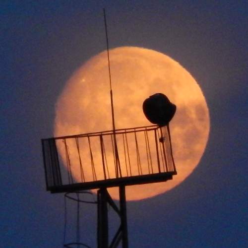 Photo #9217016