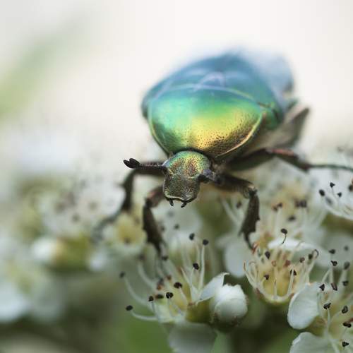 Photo #9217081