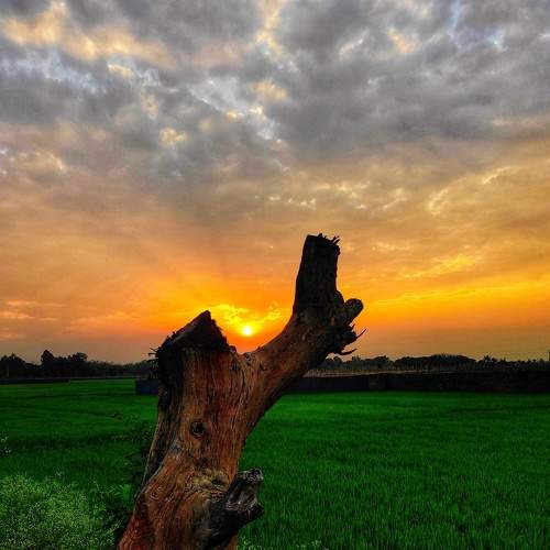 Beautiful Bangladesh