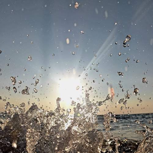 Photo #9217789