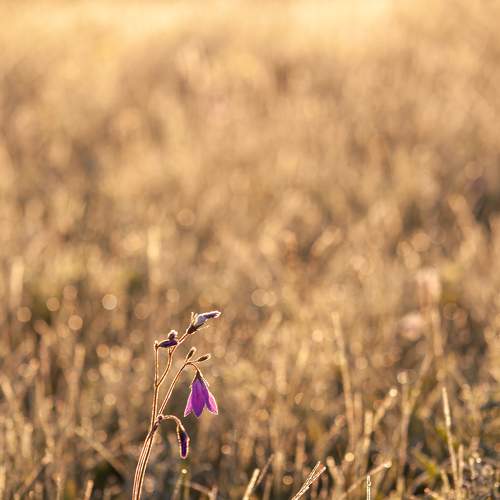 Photo #9218036