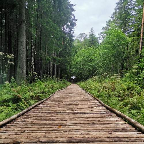 Photo #9218060