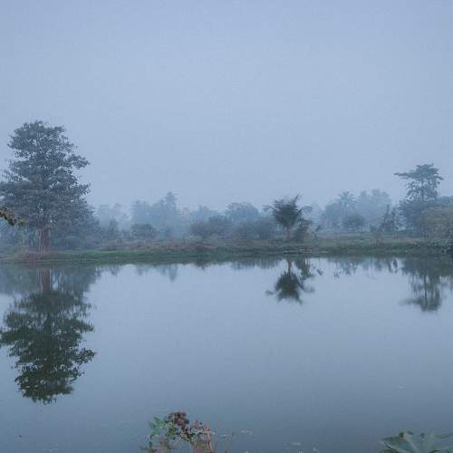 Photo #9218503