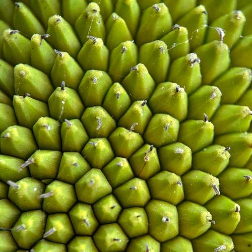 Photo #9219066