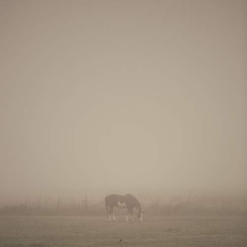 Photo #9219262