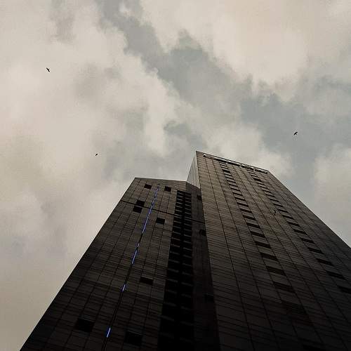 Photo #9219458