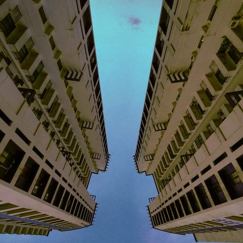 Photo #9219554