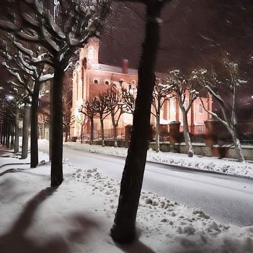 Photo #9219773