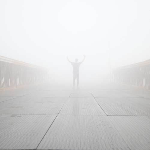 Photo #9219774