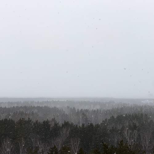 Photo #9219961
