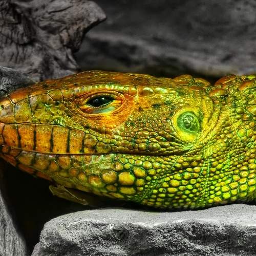 Photo #9220452