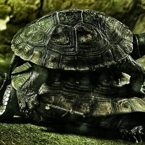 Photo #9220454